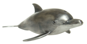 Bottlenose Dolphin (object)