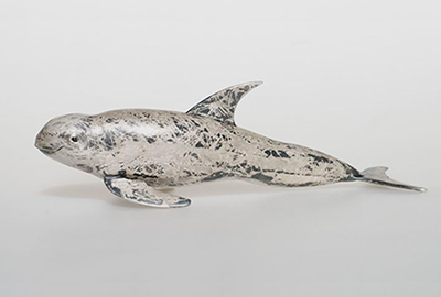Risso’s Dolphin (object) detail