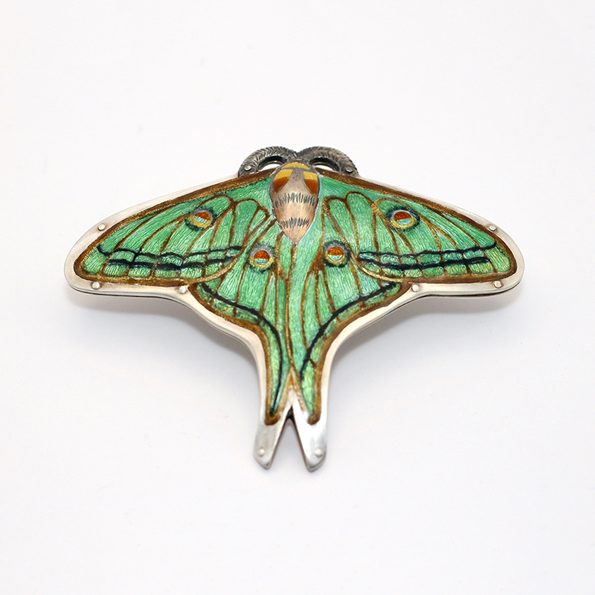 Spanish Moon Moth female brooch