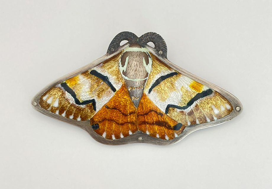 Kentish Glory Moth